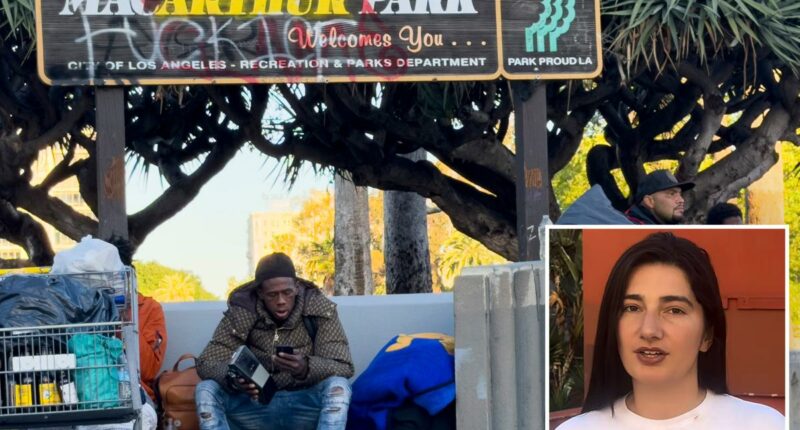 LA activists tied to $177M in city contracts are trying to install a DSA city attorney