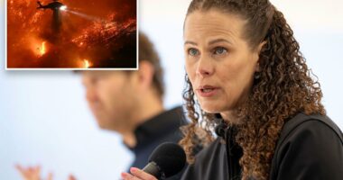 LADWP chief Janisse QuiÃ±ones stepping down to return to Puerto Rico