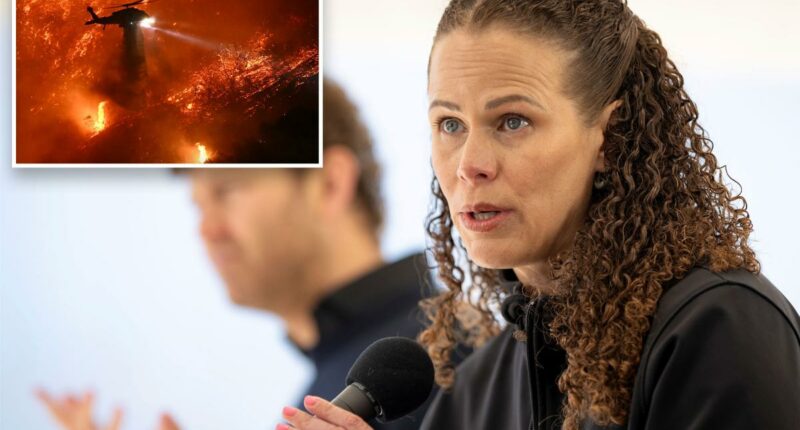 LADWP chief Janisse QuiÃ±ones stepping down to return to Puerto Rico