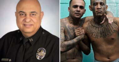 LAPD says gang crime harder to track after CalGang database ban