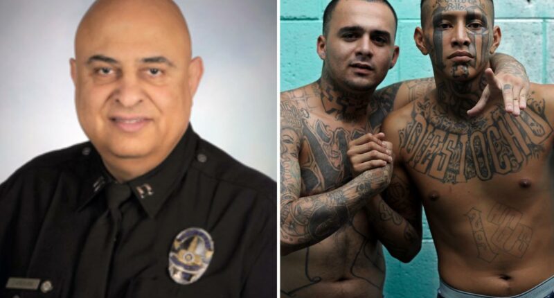 LAPD says gang crime harder to track after CalGang database ban