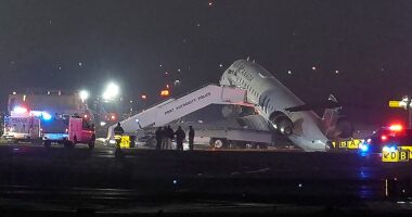 LaGuardia plane crash air traffic control audio reveals frantic call for truck to 'stop, stop, stop'