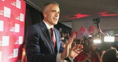 SA celebrates election win