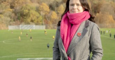 Labour MP's partner arrested on suspicion of spying for China