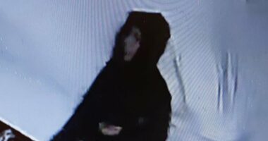 Last picture of missing Brazilian academic, 30, is revealed