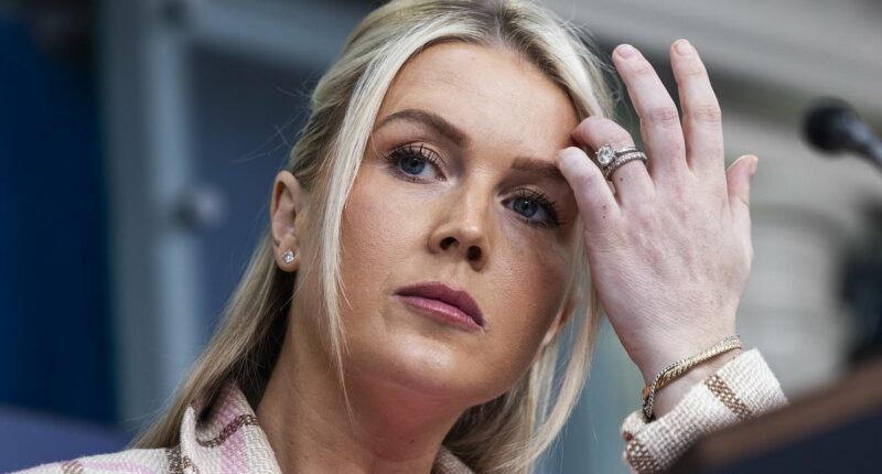 Leavitt demands ABC retract report on potential Iran drone threat to California