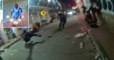 Lone actors 'most likely' to commit US terror attacks: intel report