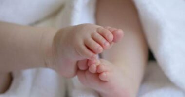 Longwood fertility clinic closes after woman gives birth to wrong baby