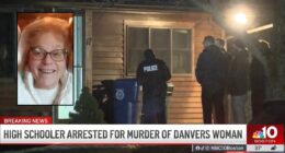 'Looked right in my eyes': Woman recounts seeing high school senior who allegedly butchered 68-year-old ICU nurse because he 'wanted to kill someone for a long time'