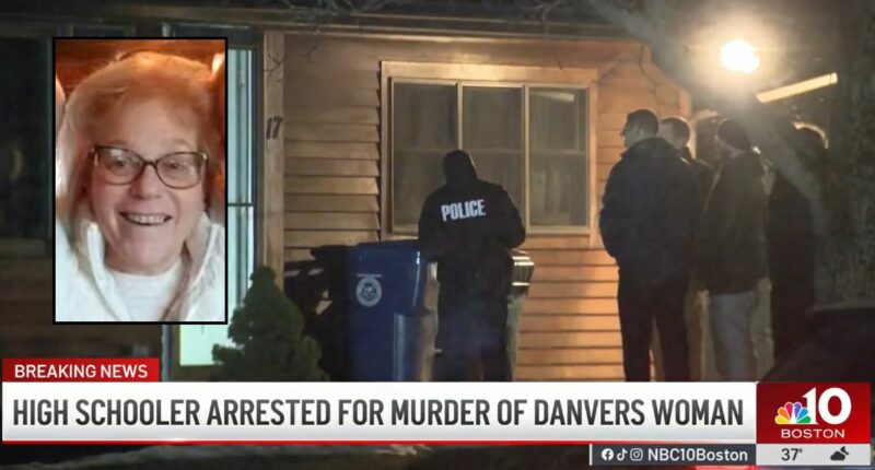 'Looked right in my eyes': Woman recounts seeing high school senior who allegedly butchered 68-year-old ICU nurse because he 'wanted to kill someone for a long time'