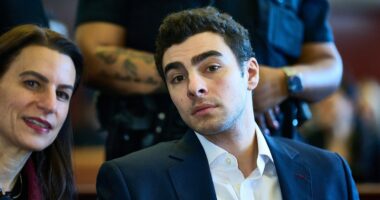 Luigi Mangione seeks to gut key evidence as prosecutors defend McDonald's search