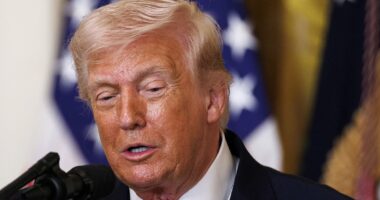 MAGA insiders go ballistic as they push Trump to DUMP southern Republican Senate candidate as challengers waste millions