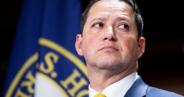 MAGA turns on Congressman whose 'mistress' died: 'Voters have spoken'