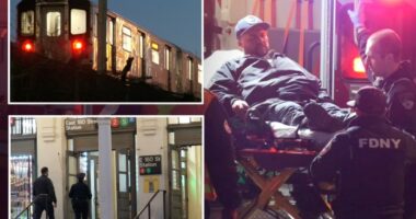 MTA worker beaten and robbed in Bronx station lot, cops say