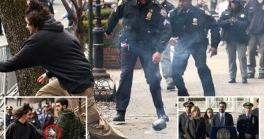 Mamdani refuses to condemn alleged ISIS-loving bomb tossers