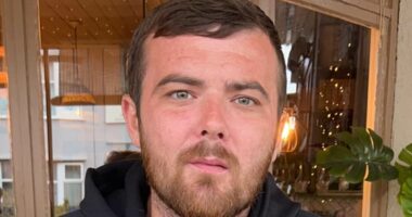 Man, 84, fatally attacked by XL Bully like 'prey', court hears