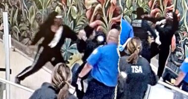 Man accused of attacking TSA officers, seriously injuring Dallas cop at airport