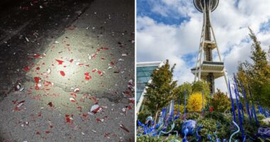 Man allegedly destroyed over $240K worth of sculptures at Seattle glass museum and tried to stab security guard with shard