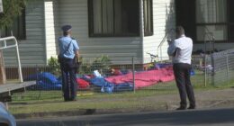 Charges are expected to be laid today following the incident.