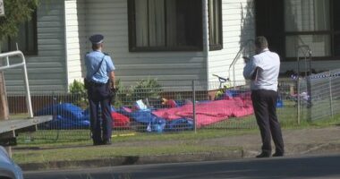 Charges are expected to be laid today following the incident.