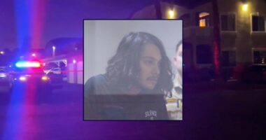 Man 'collecting his things' from ex-girlfriend killed her moments after she told 911 he was 'threatening her with a firearm': Police