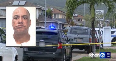 Man murdered girlfriend, stabbed estranged wife in rampage while he was out on work release: Police