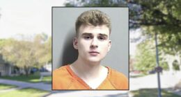 Man waited in the bathroom to stab his mom after she said he could not use her speaker: Police