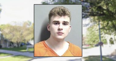 Man waited in the bathroom to stab his mom after she said he could not use her speaker: Police