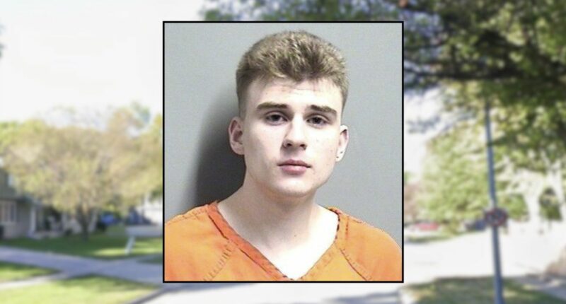 Man waited in the bathroom to stab his mom after she said he could not use her speaker: Police