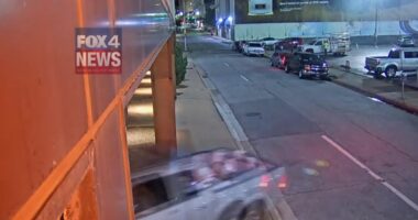 Man who rammed truck into TV station arrested for tossing remains