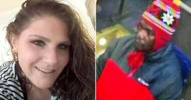 Man who stabbed woman to death in Virginia had THIRTY prior arrests