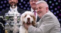 Man whose dog won Crufts award was convicted of animal cruelty