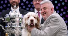 Man whose dog won Crufts award was convicted of animal cruelty