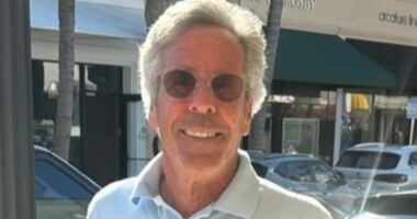Man with resemblance to Epstein forced to deny he is the pedophile