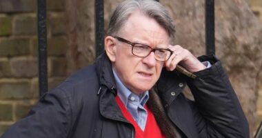 Mandelson job was signed off by Labour pal later linked to paedophile