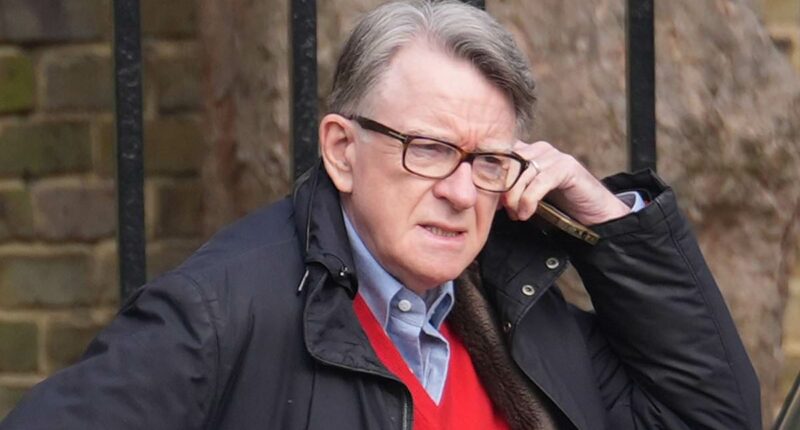 Mandelson job was signed off by Labour pal later linked to paedophile