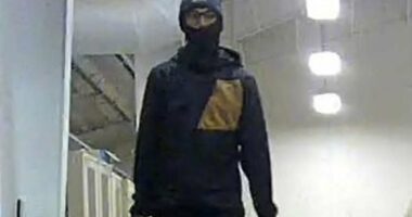 Manhunt for masked thieves who raided US Army base to steal FOUR DRONES amid Iran revenge attack fears