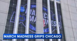 March Madness: Chicago's United Center hosting Sweet 16, Elite Eight games; Illini fans celebrating Illinois win over Houston