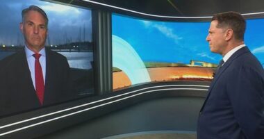 Marles defends Australia after Trump goes whack