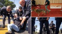 Massive Police presence protect Oscar at the 98th Annual Academy Awards
