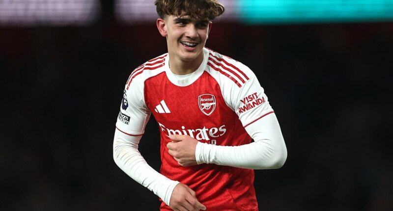 Max Dowman can provide the element of mystery to propel Arsenal over the line in the title race - against Everton, he helped Mikel Arteta's side find another dimension, writes MATT BARLOW