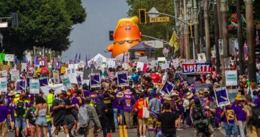 Mayhem erupts at No Kings protests across America