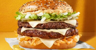 McDonald's Big Arch prices vary by as much as 100% across the US: Here's how much they are in every state