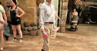 Megyn Kelly eviscerates warmonger Lindsey Graham for going to Disney