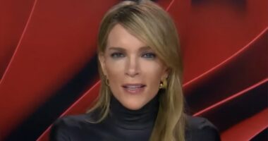 Megyn Kelly launches astonishing attack on her old Fox News stablemate