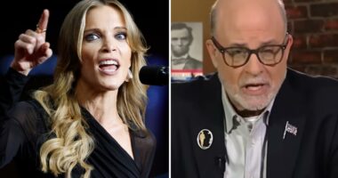 Megyn Kelly rips rival pundit 'Micropenis Mark' Levin