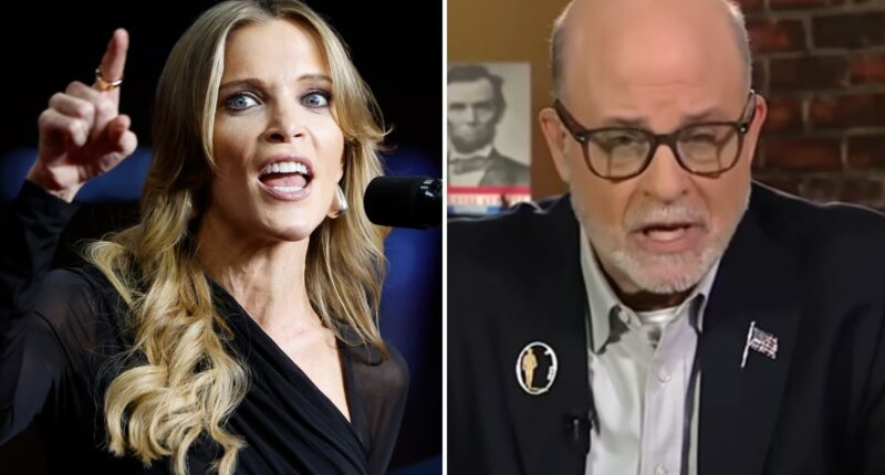 Megyn Kelly rips rival pundit 'Micropenis Mark' Levin
