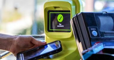 Declan Leask during the trial of the new myki system on Wangaratta's bus network on December 12, 2024. Photo: Jason Robins