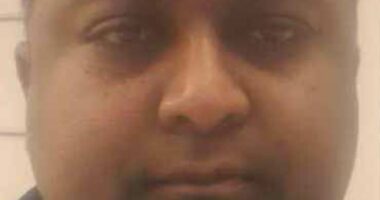 Migrant, 37, caught in paedophile hunter sting is jailed