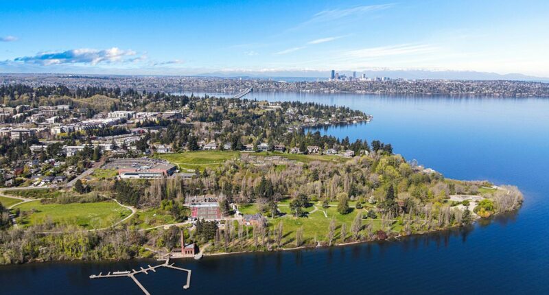 Millionaire island ALREADY hit with vagrancy as train to Seattle opens